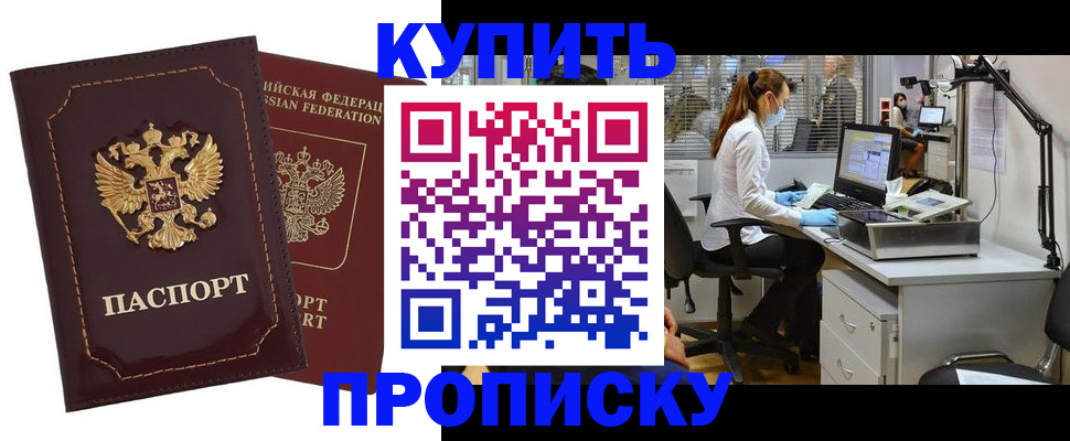 прописка гарантия в Светлогорске